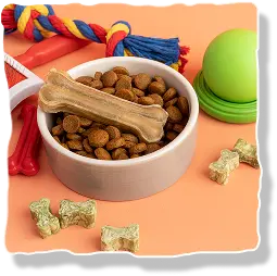 Pet Supplies